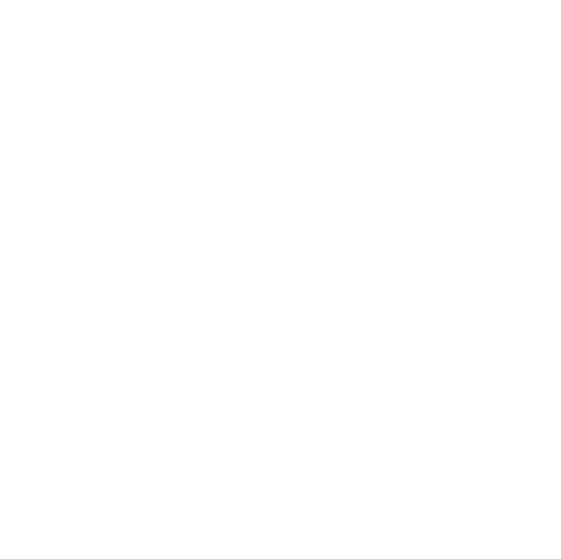 Big Five Foods logo (hero / dark)